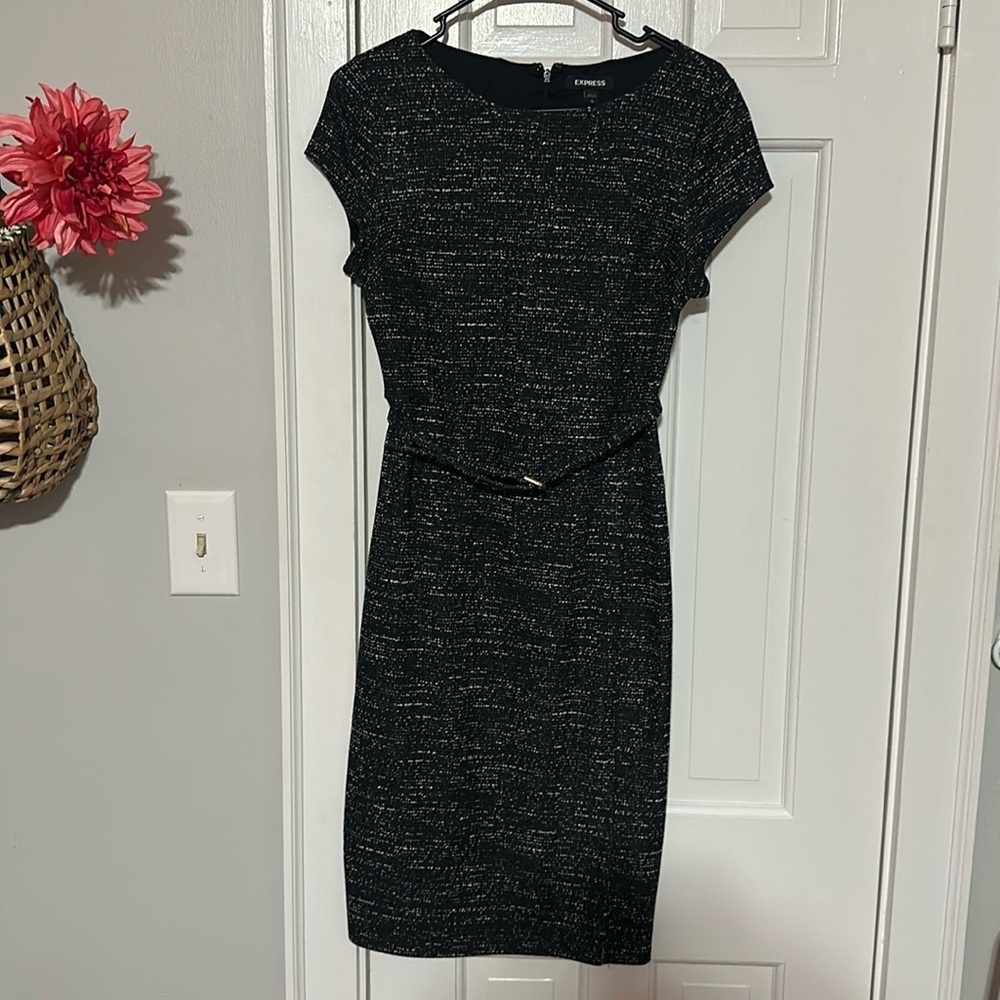 Express rayon blend dress